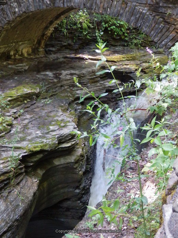ARCADIA FALLS in WATKINS GLEN  SCHUYLER CENTRAL NY 8-10-2013_00006.JPG