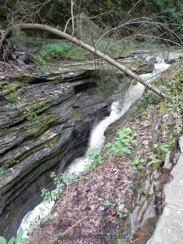 THE NARROWS in WATKINS GLEN SCHUYLER COUNTY CENTRAL NEW YORK 8-10-2013_00014.JPG