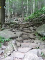 BASTION FALLS GREEN COUNTY SOUTHERN NEW YORK 8-18-2013_00024.JPG