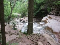 BASTION FALLS GREEN COUNTY SOUTHERN NEW YORK 8-18-2013_00029.JPG