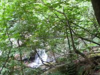 BASTION FALLS GREEN COUNTY SOUTHERN NEW YORK 8-18-2013_00035.JPG
