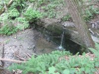 BUTTERMILK FALLS GREEN COUNTY SOUTHERN NEW YORK 8-18-2013_00006.JPG