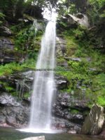 PLATTEKILL FALLS GREEN COUNTY SOUTHERN NEW YORK 8-18-2013_00020.JPG