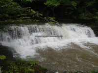 LITTLE SCHOHARIE LOWER FALLS SCHOHARIE EASTERN NY 5-26-2013_00002.JPG