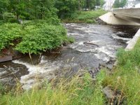 FURNANCE CREEK ONEIDA COUNTY CENTRAL NEW YORK 6-30-2013_00005.JPG