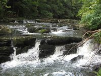COXSACKIE CREEK FALLS GREEN COUNTY SOUTHERN NEW YORK 8-19-2013_00004.JPG