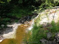 WATUGA FALLS DELAWARE COUNTY CENTRAL NEW YORK 8-10-2014_00019.JPG