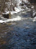 SLATER ROAD ONEIDA COUNTY CENTRAL NEW YORK 4-2-2014_00005.JPG
