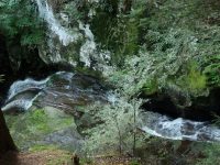 RUSSELL BROOK FALLS DELAWARE COUNTY CENTRAL NEW YORK 8-10-2014_00005.JPG