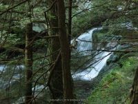 RUSSELL BROOK FALLS DELAWARE COUNTY CENTRAL NEW YORK 8-10-2014_00009.JPG