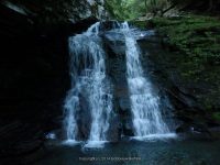 RUSSELL BROOK FALLS DELAWARE COUNTY CENTRAL NEW YORK 8-10-2014_00024.JPG