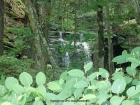 CANADA FALLS DELAWARE COUNTY CENTRAL NEW YORK 8-10-2014_00014.JPG