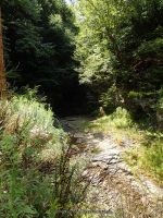 BUTTERMILK FALLS OWEGO TIOGA COUNTY CENTRAL NEW YORK 8-9-2014_00001.JPG