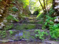 BUTTERMILK FALLS OWEGO TIOGA COUNTY CENTRAL NEW YORK 8-9-2014_00017.JPG