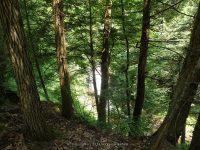 BUTTERMILK FALLS (NEW BERLIN)CHENANGO COUNTY CENTRAL NEW YORK 8-8-2014_00002.JPG