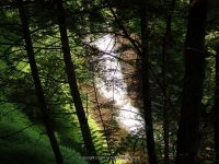 BUTTERMILK FALLS (NEW BERLIN)CHENANGO COUNTY CENTRAL NEW YORK 8-8-2014_00006.JPG
