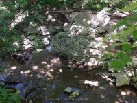 CANASTOTA FALLS MADISON CENTRAL NY 7-24-2014_00014.JPG