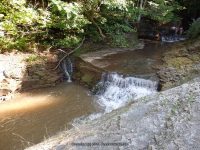 NEWLANDS FALLS ONEIDA CENTRAL NY 7-24-2014_00009.JPG