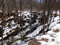 OXBOW FALLS MADISON COUNTY CENTRAL NEW YORK 4-6-2014_00004.JPG