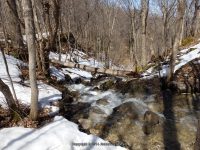 OXBOW FALLS MADISON COUNTY CENTRAL NEW YORK 4-6-2014_00011.JPG