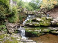 CATTAIL FALLS SULLIVAN COUNTY SOUTHERN NEW YORK 8-23-2014_00005.JPG