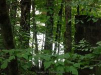 MILLS FALLS SULLIVAN COUNTY SOUTHERN NEW YORK 8-23-2014_00001.JPG