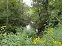 NAPANOCH FALLS ULSTER COUNTY SOUTHERN NEW YORK 8-23-2014_00001.JPG