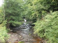 PARKSVILLE FALLS SULLIVAN COUNTY SOUTHERN NEW YORK 8-23-2014_00002.JPG