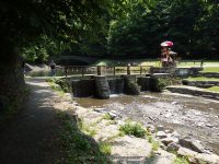FILMORE beginning to bridge 1 cow shed_00002.JPG