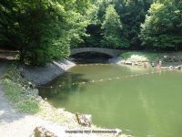FILMORE beginning to bridge 1 cow shed_00003.JPG
