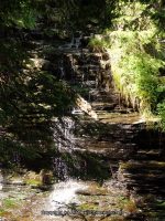 FILMORE dam and hogsback falls_00008.JPG
