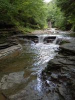 STONEY BROOK UPPER SECTION STEUBEN WESTERN NY 8-11-2013_00013.JPG