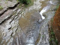 STONEY BROOK LOWER SECTION STEUBEN WESTERN NY 8-11-2013_00022.JPG