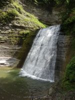STONEY BROOK LOWER SECTION STEUBEN WESTERN NY 8-11-2013_00036.JPG