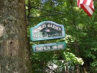 SUGAR CREEK GLEN LOWER SECTION LIVINGSTON WESTERN NY 8-11-2013_00002.JPG