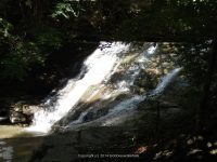SUGAR CREEK GLEN LOWER SECTION LIVINGSTON WESTERN NY 8-11-2013_00003.JPG