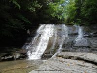 SUGAR CREEK GLEN LOWER SECTION LIVINGSTON WESTERN NY 8-11-2013_00006.JPG