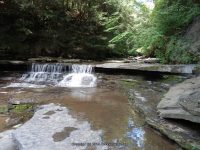 SUGAR CREEK GLEN LOWER SECTION LIVINGSTON WESTERN NY 8-11-2013_00007.JPG