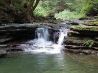 SUGAR CREEK GLEN MIDDLE SECTION LIVINGSTON WESTERN NY 8-11-2013_00009.JPG
