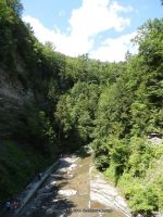 STONEY BROOK LOWER SECTION STEUBEN WESTERN NY 8-11-2013_00045.JPG