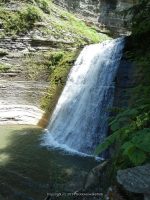 STONEY BROOK LOWER SECTION STEUBEN WESTERN NY 8-11-2013_00048.JPG