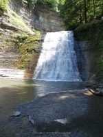 STONEY BROOK LOWER SECTION STEUBEN WESTERN NY 8-11-2013_00049.JPG
