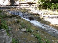 STONEY BROOK LOWER SECTION STEUBEN WESTERN NY 8-11-2013_00057.JPG