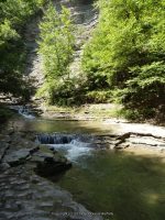 STONEY BROOK LOWER SECTION STEUBEN WESTERN NY 8-11-2013_00059.JPG
