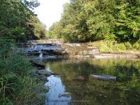 SUN VALLEY CAMPGROUND FALLS ALLEGANY COUNTY WESTERN NEW YORK 8-10-2013_00043.JPG