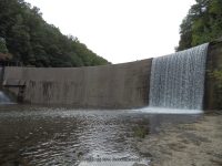 WISCOY DAM ALLEGANY COUNTY WESTERN NEW YORK 8-11-2013_00003.JPG