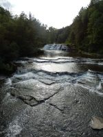WISCOY FALLS LOWER SECTION ALLEGANY COUNTY WESTERN NEW YORK 8-11-2013_00004.JPG