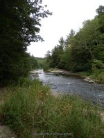 WISCOY FALLS MIDDLE SECTION ALLEGANY COUNTY WESTERN NEW YORK 8-11-2013_00006.JPG