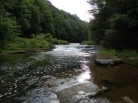 WISCOY FALLS UPPER SECTION ALLEGANY COUNTY WESTERN NEW YORK 8-11-2013_00018.JPG