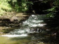 SAINT MARYS FALLS OTSEGO COUNTY CENTRAL NEW YORK 8-23-2014_00017.JPG